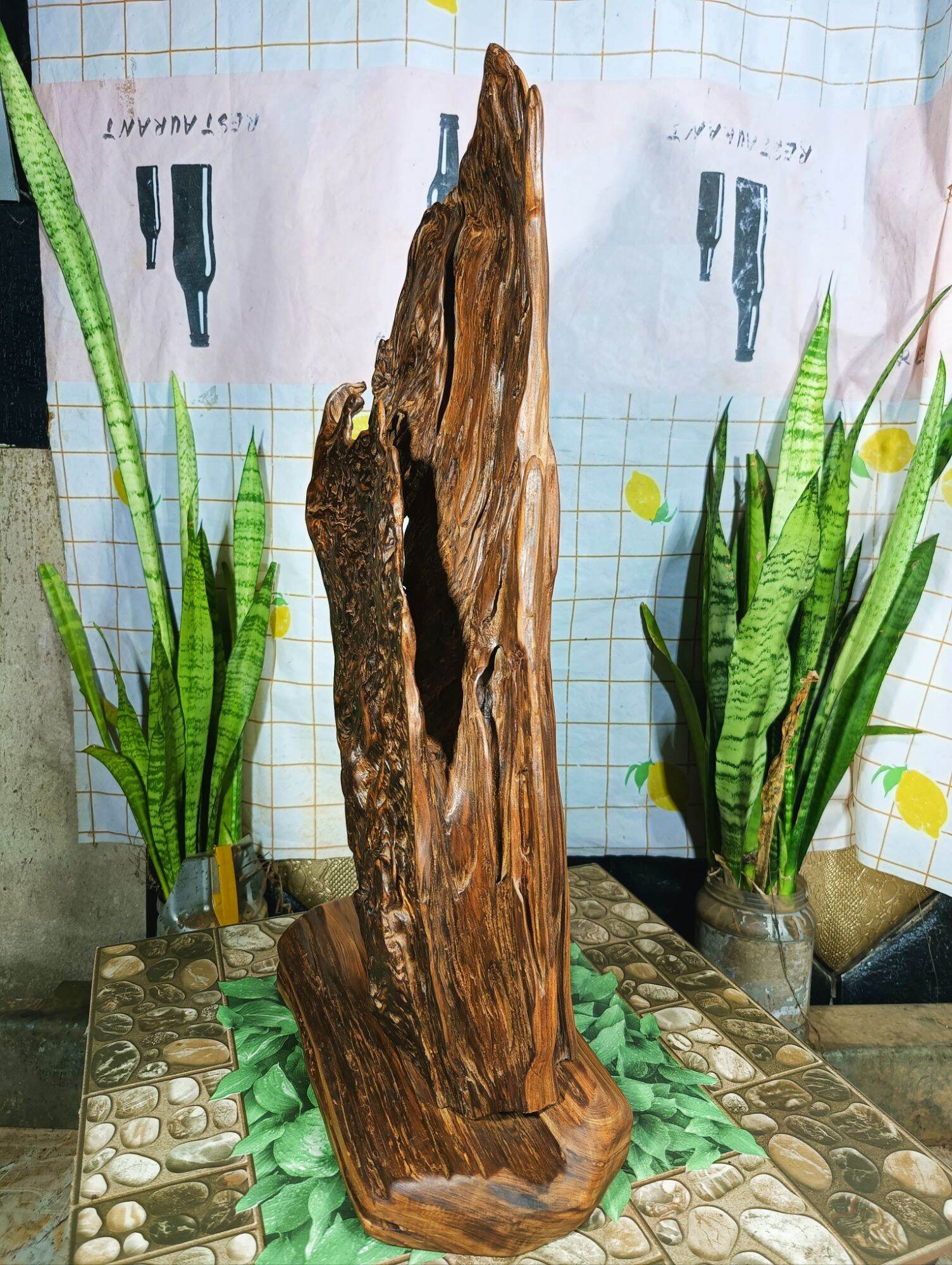 lũa gỗ thơm ngọc am đỏ hà giang