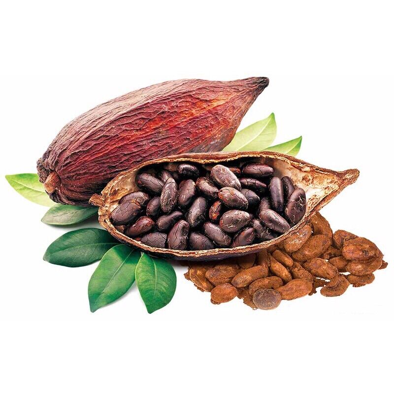 [Tách lẻ 100g] Bột Ca Cao Hữu cơ 32% Kaoka