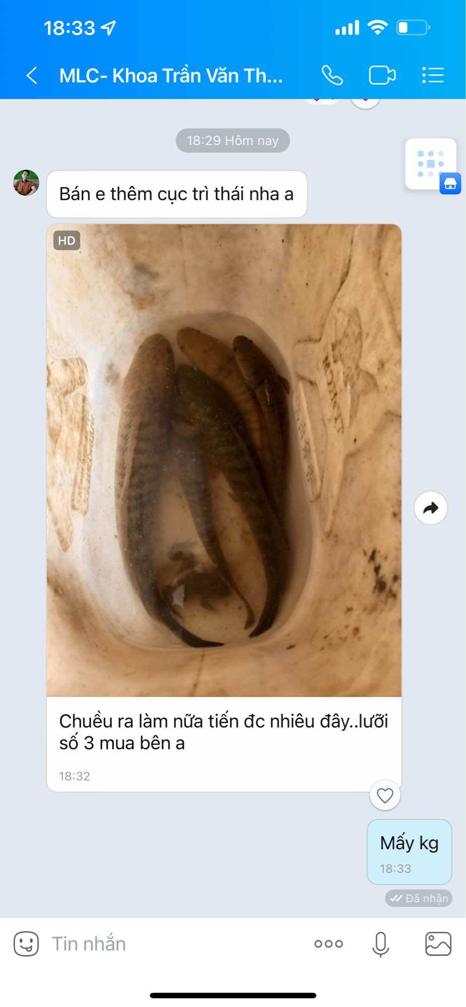 Lưỡi câu lure cá lóc, mẫu số 3 siêu nhạy