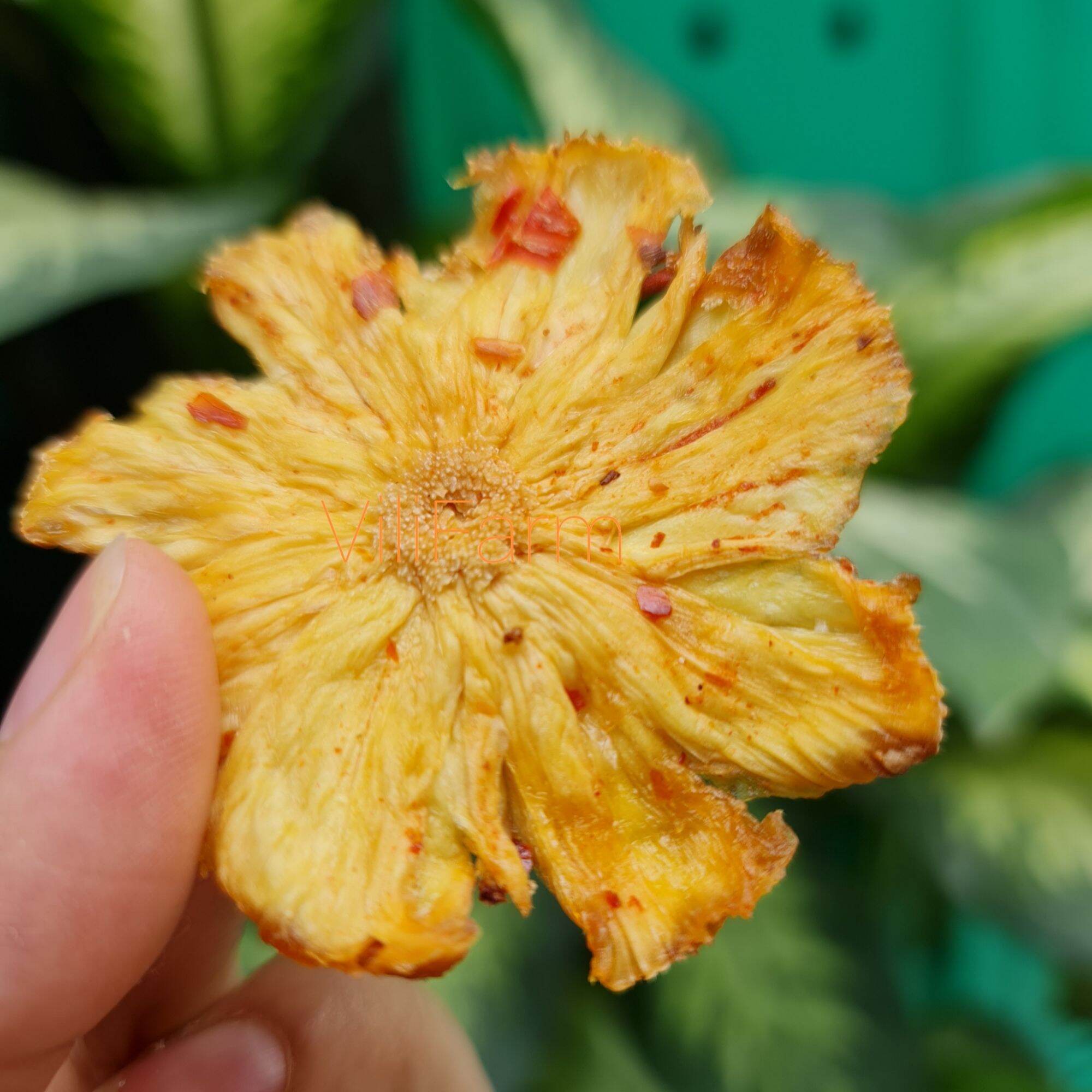 Thơm mật sấy muối ớt