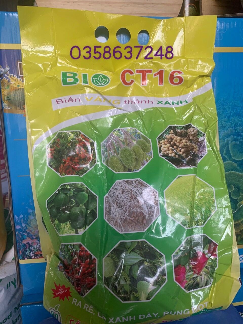 Bio ct16