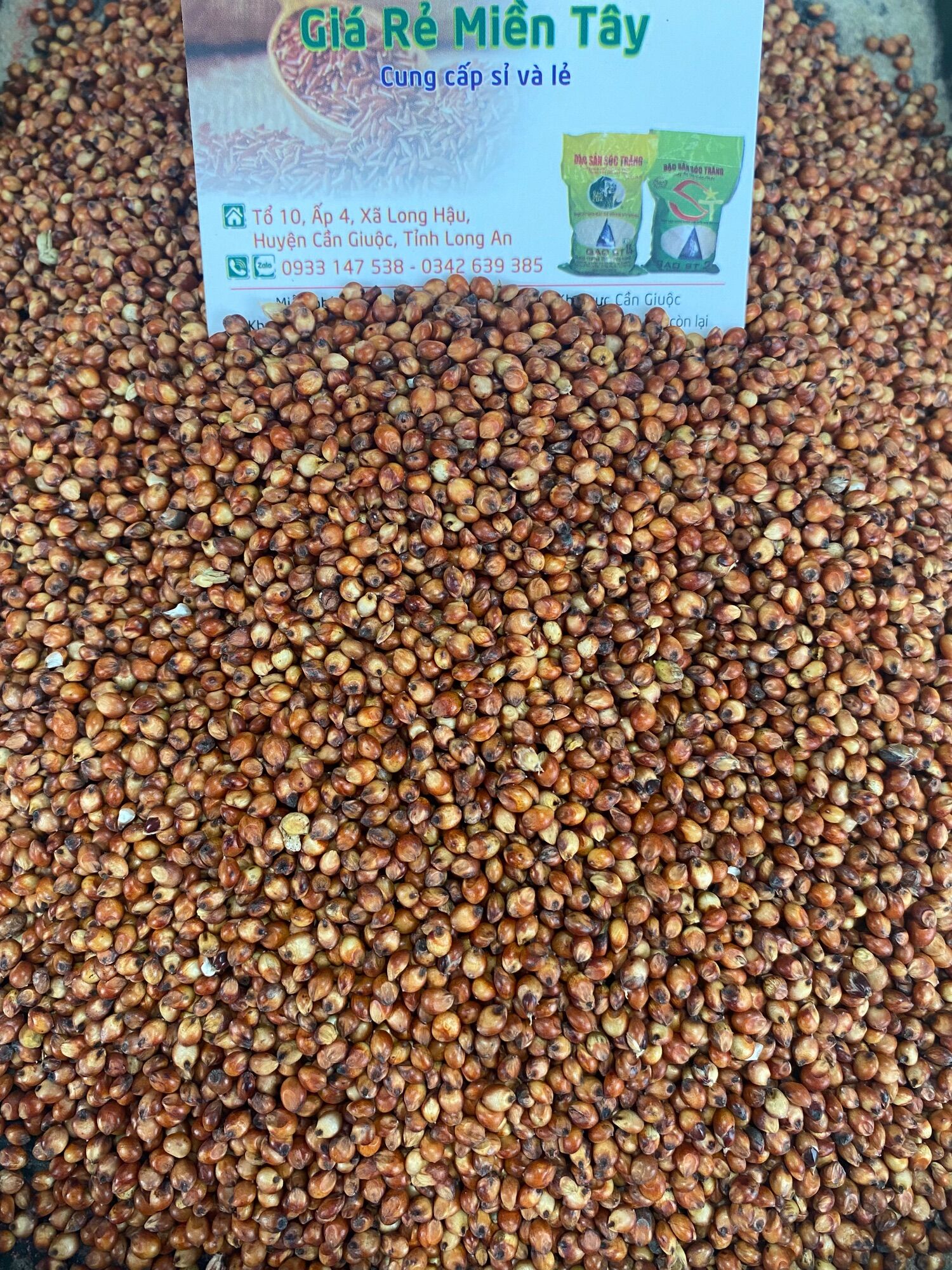 1kg Hạt Bo Bo Đỏ Dành cho Gà, chim kiểng, hamster …