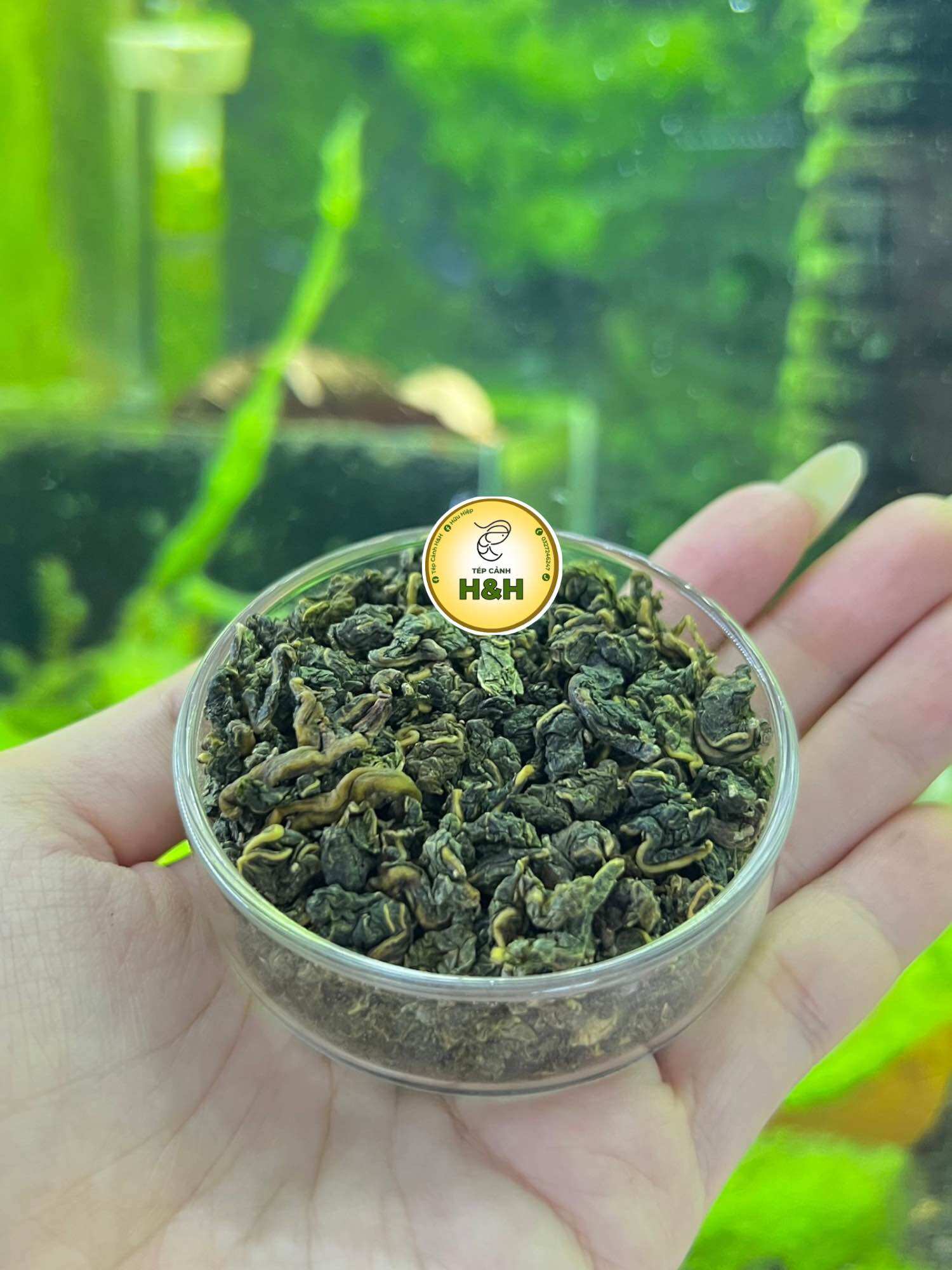 Lá dâu sấy khô thức ăn cho tép cảnh