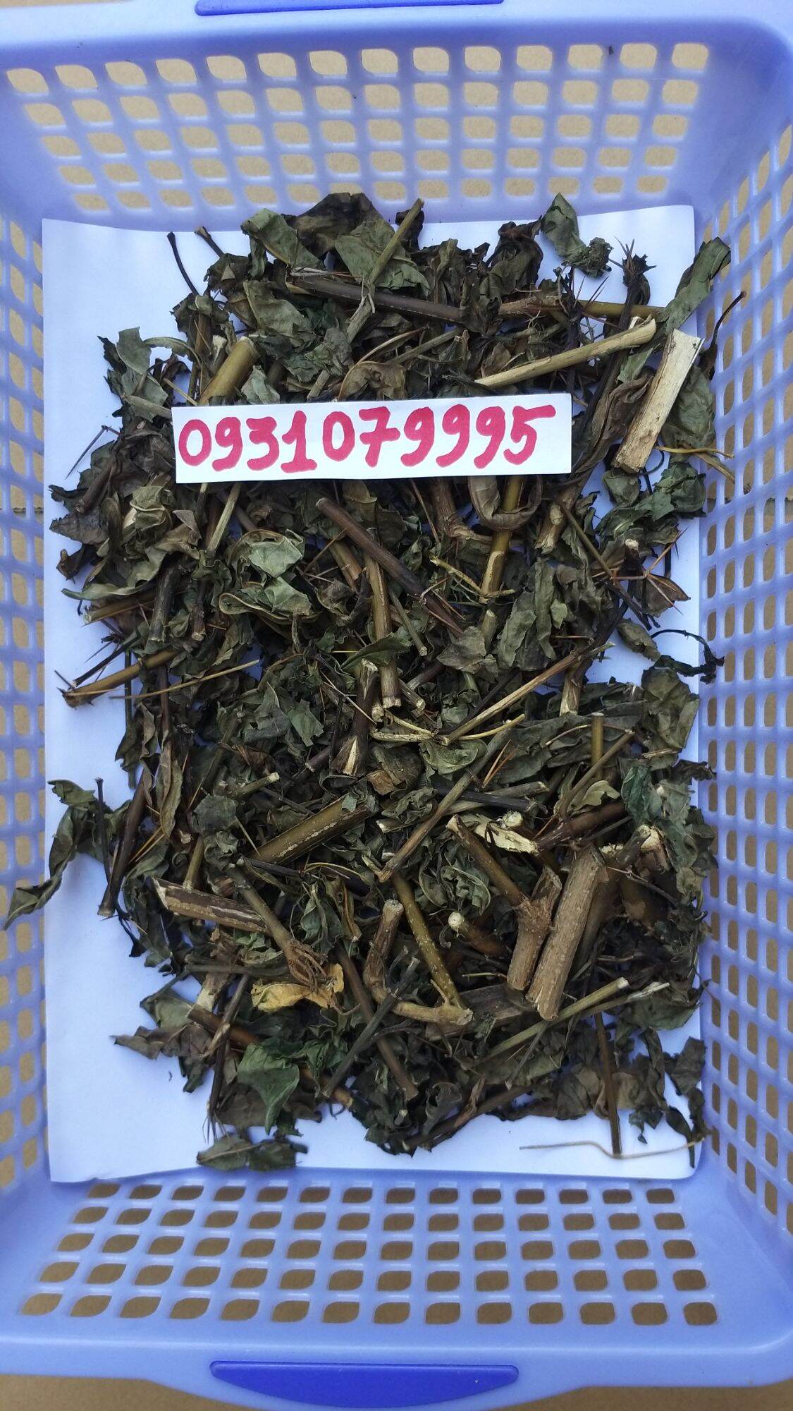 cây kim vàng phơi khô 1kg