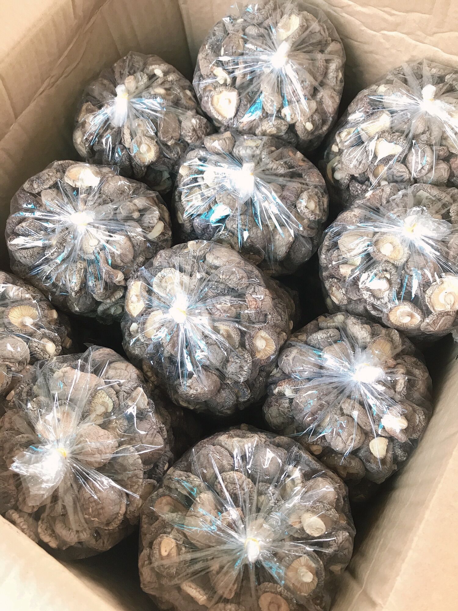 [1kg] Nấm Đông Cô đẹp