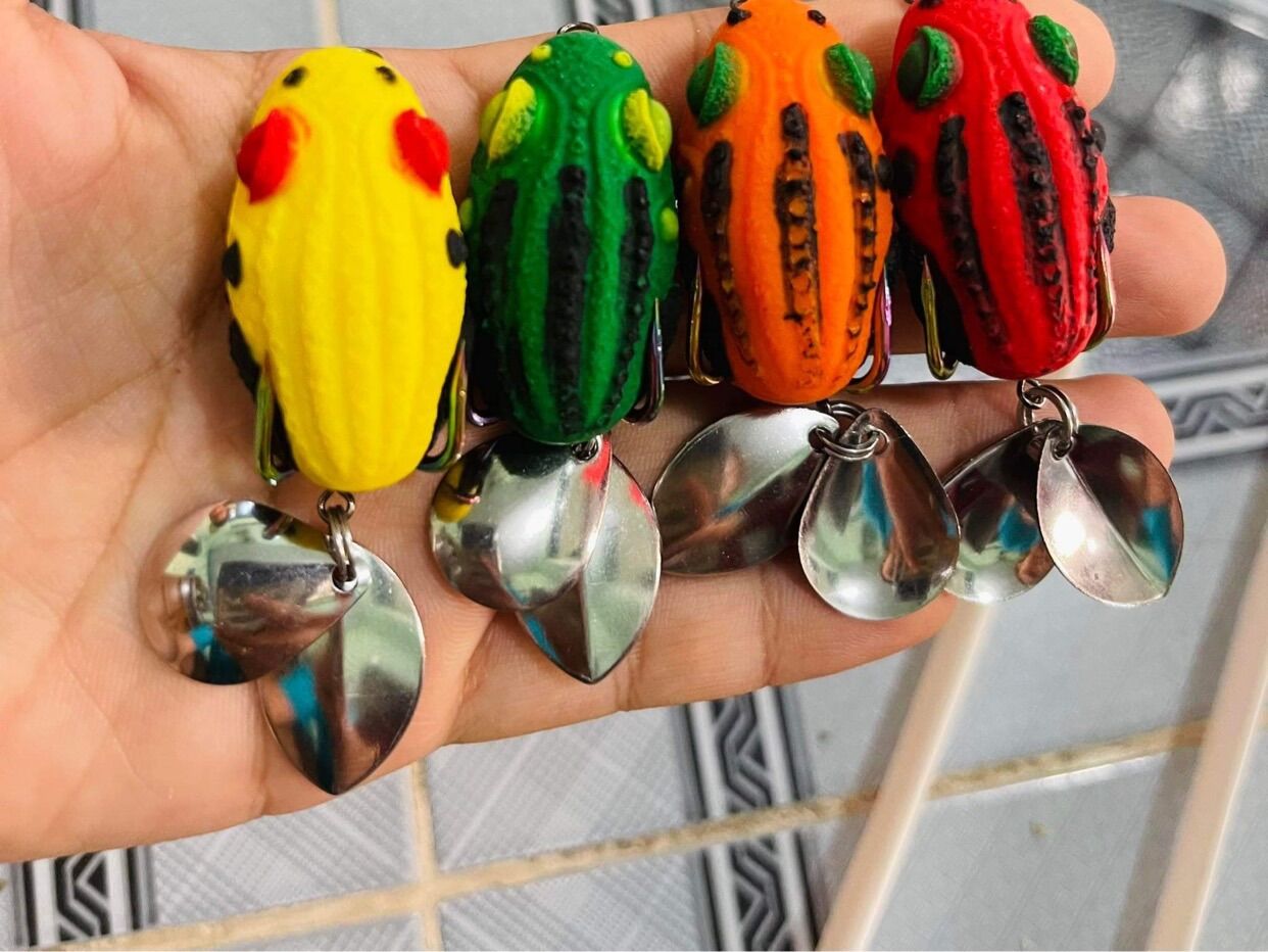 NHÁI HƠI ẾCH MẮT LỒI