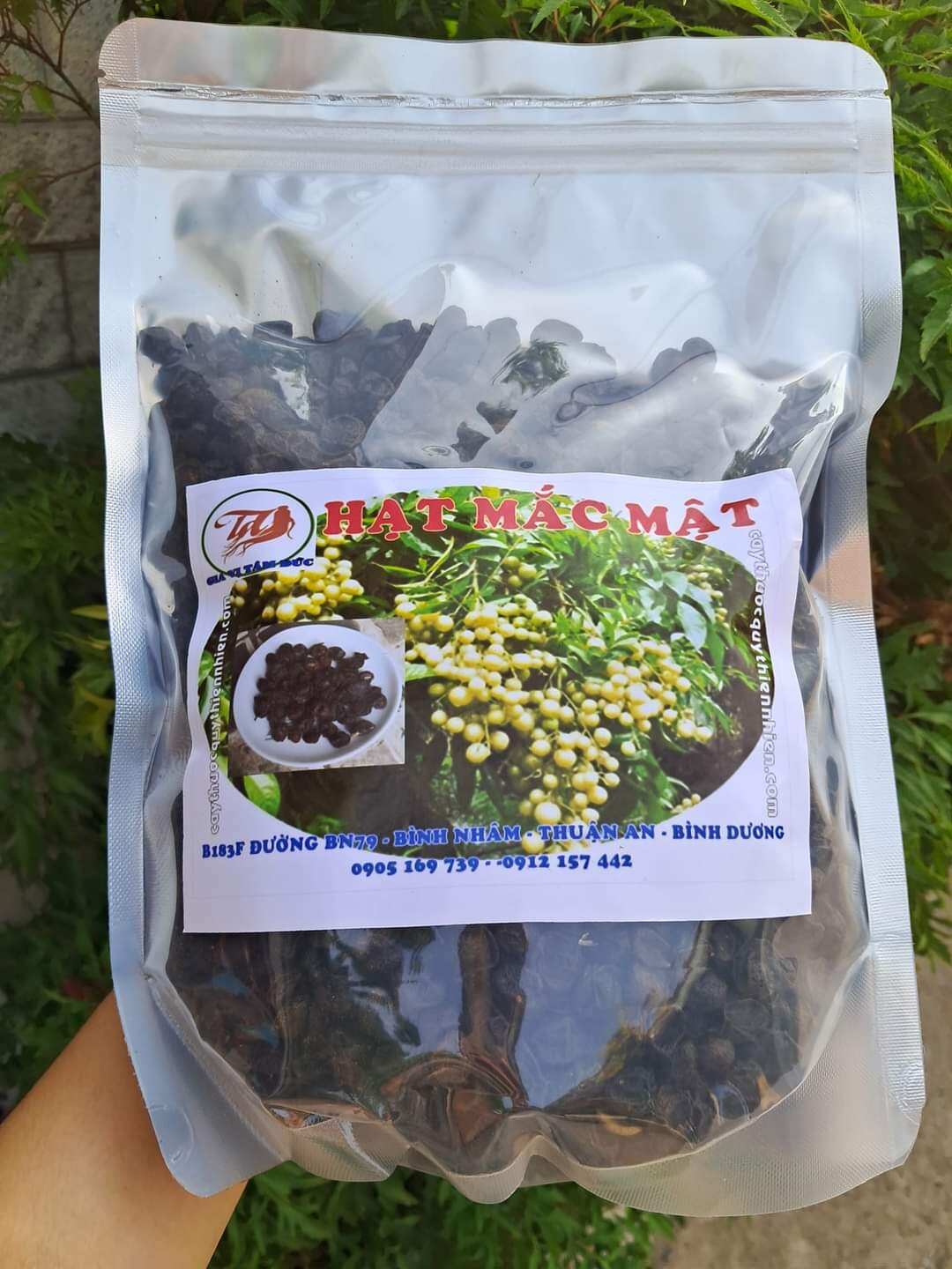 Hạt mắc mật khô
