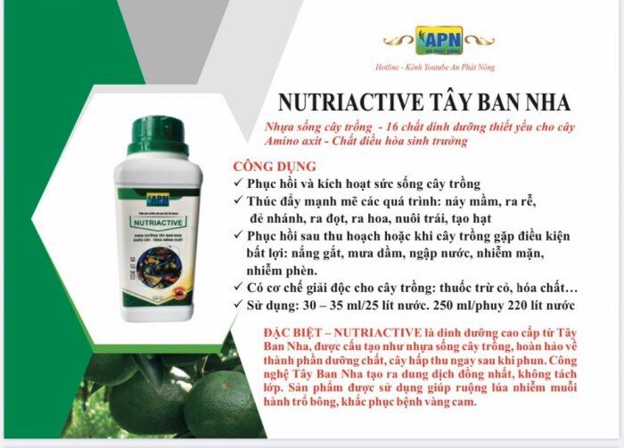 Dinh dưỡng tây ban nha (nutri active 500ml và 1 lit