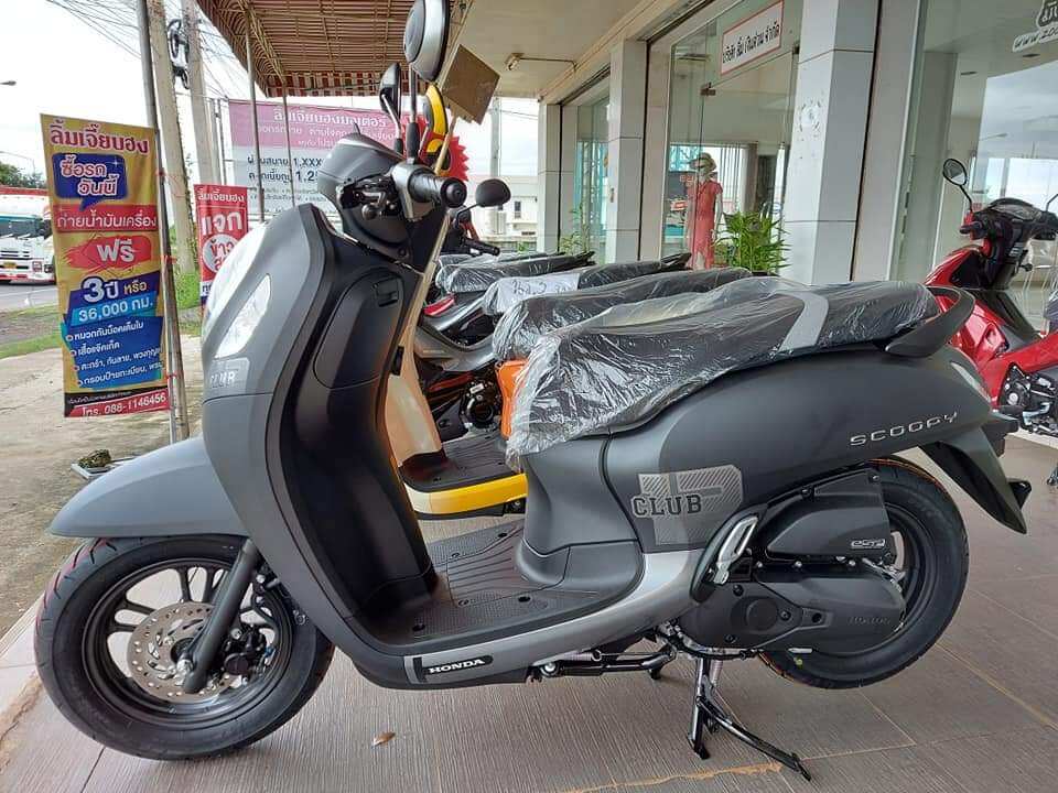 Tem SCOOPY 2021-2022- Tem chữ Scoopy