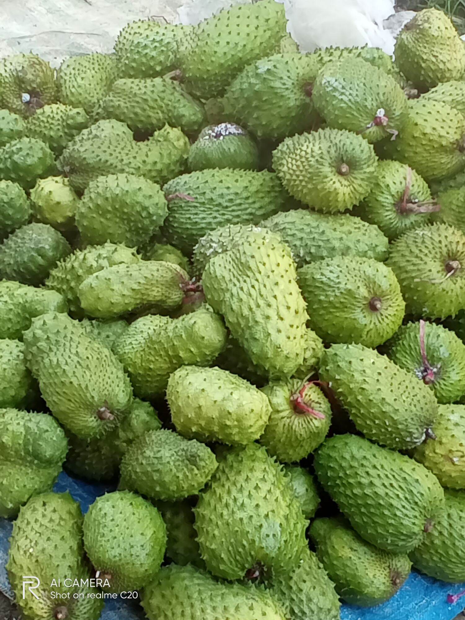 trà mãng cầu-300k/kg