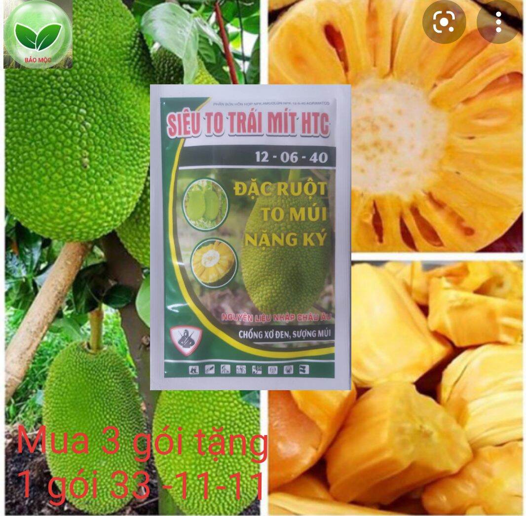 Phân bón cho cây mít - siêu to trái mít -  giúp trái mít lớn nhanh - đặc ruột - to múi - tăng độ ngọt, nặng ký, chống sơ đen sượng múi