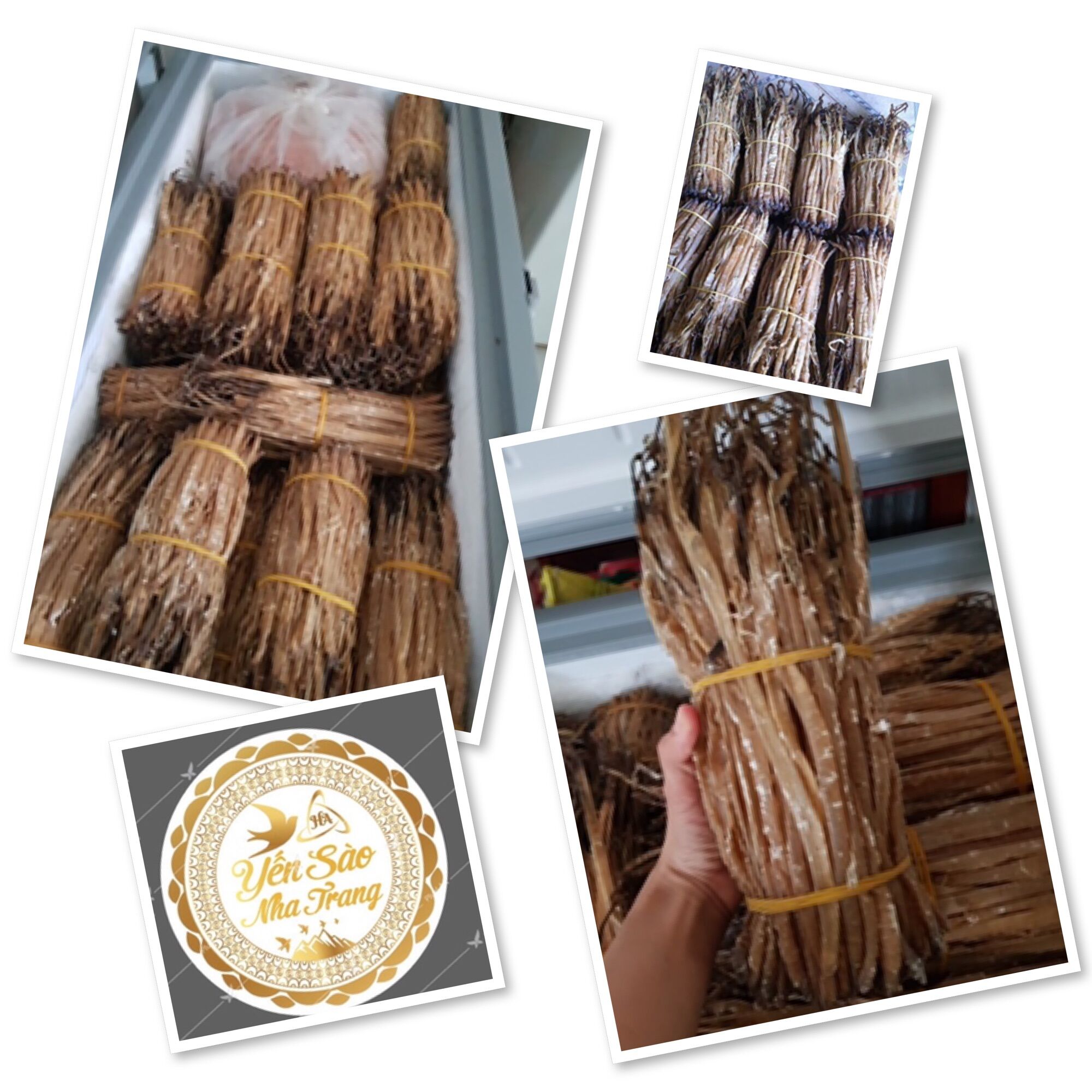 100g sá -sùng đại loại cao cấp