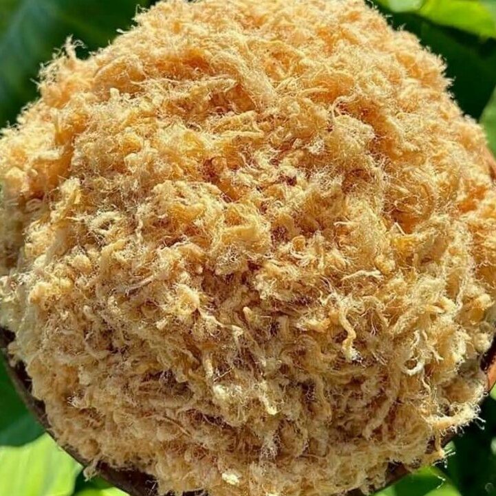 Chà bông heo 500 gr