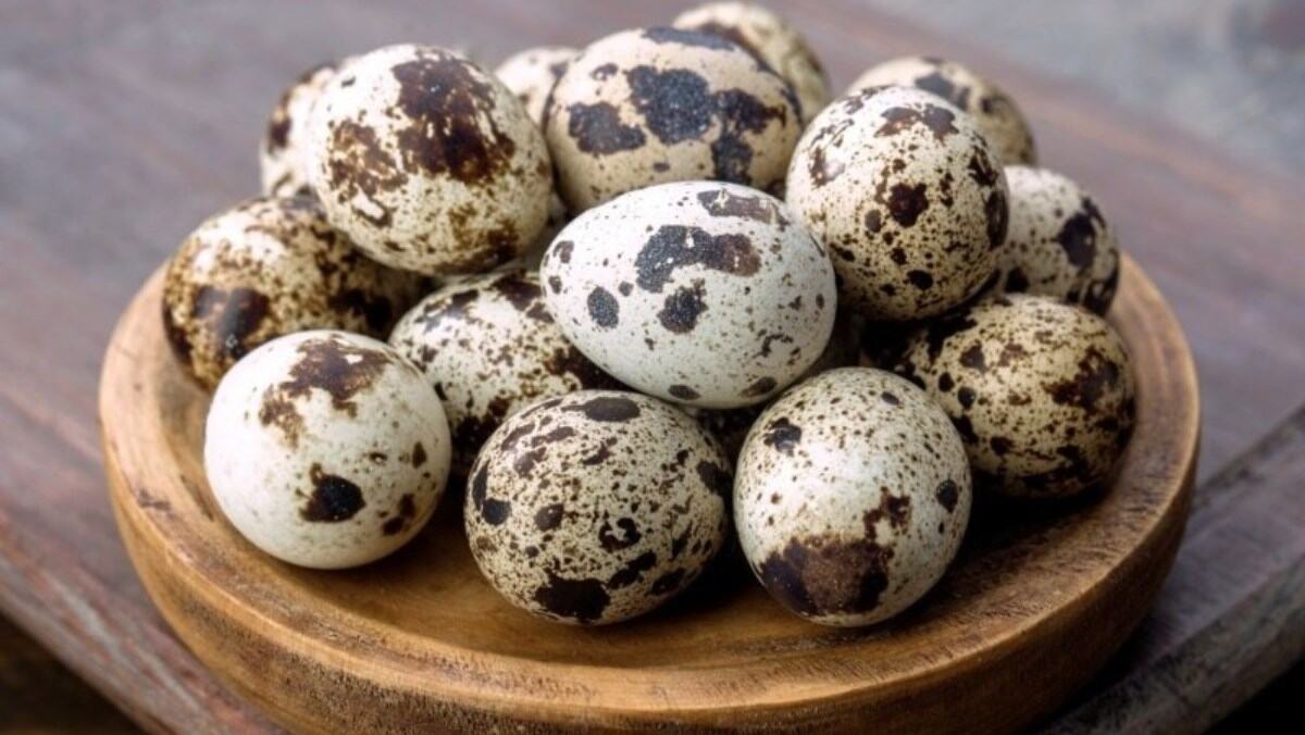 Xã kho 20 trứng cút lạc