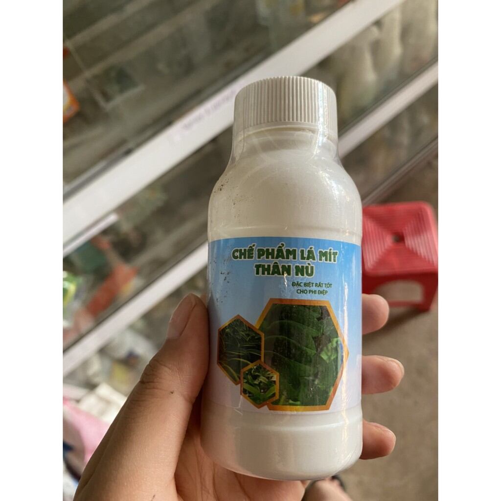 Phân lá mít làm nù cây