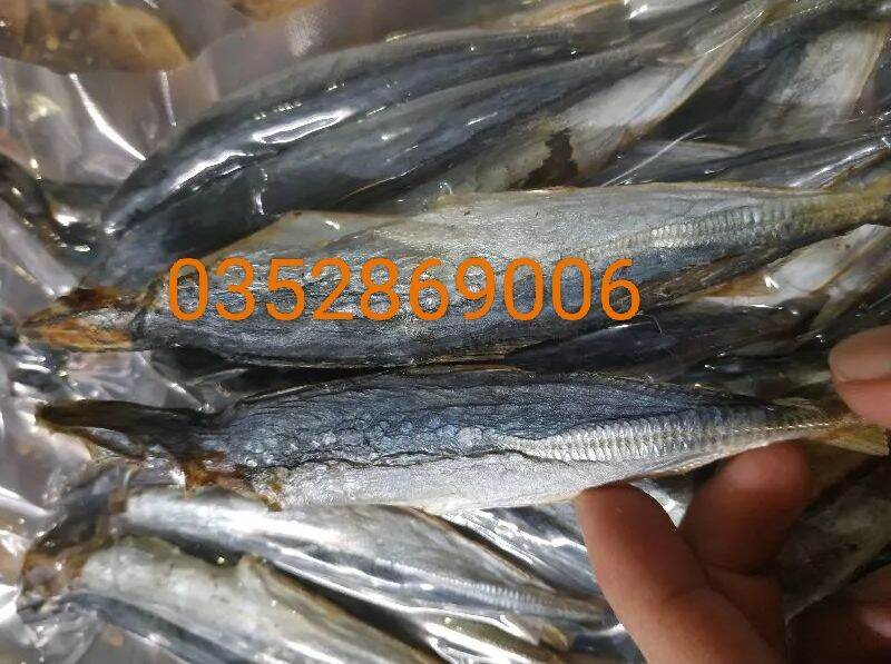 1Kg CÁ NỤC HẤP KHÔ SUÔN ĐỀU