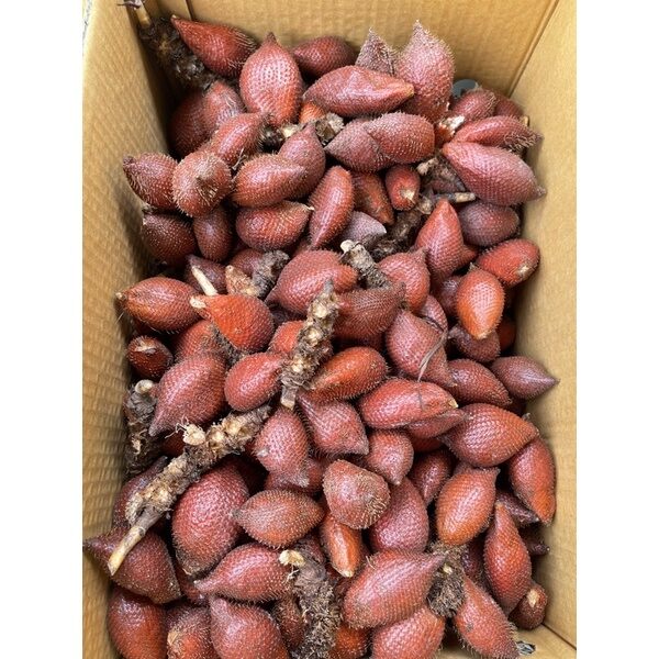 Trái mây thái 1kg đặc sản Thái Lan (hàng Nhập Khẩu)