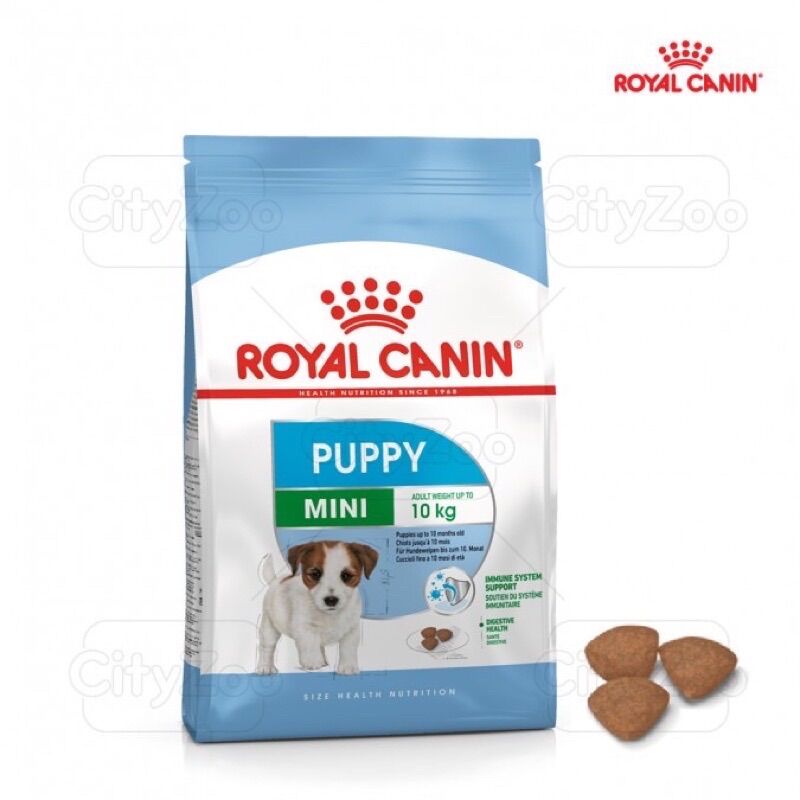 Thức ăn hạt Royal puppy mini cho cún