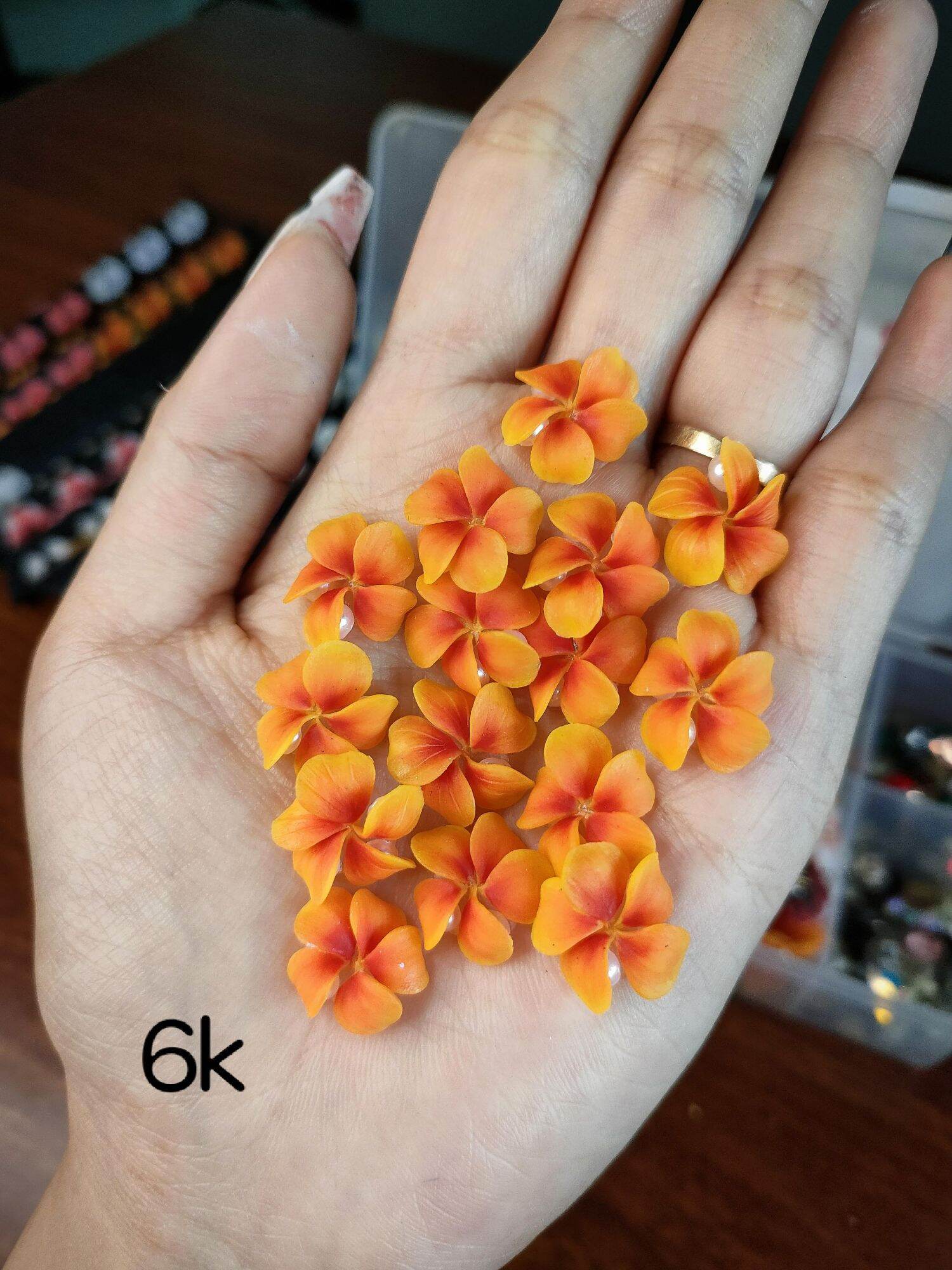 Hoa bột nail . set 10 hoa