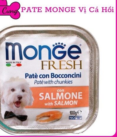 PATE Ý CHO CHÓ MONGE 100G