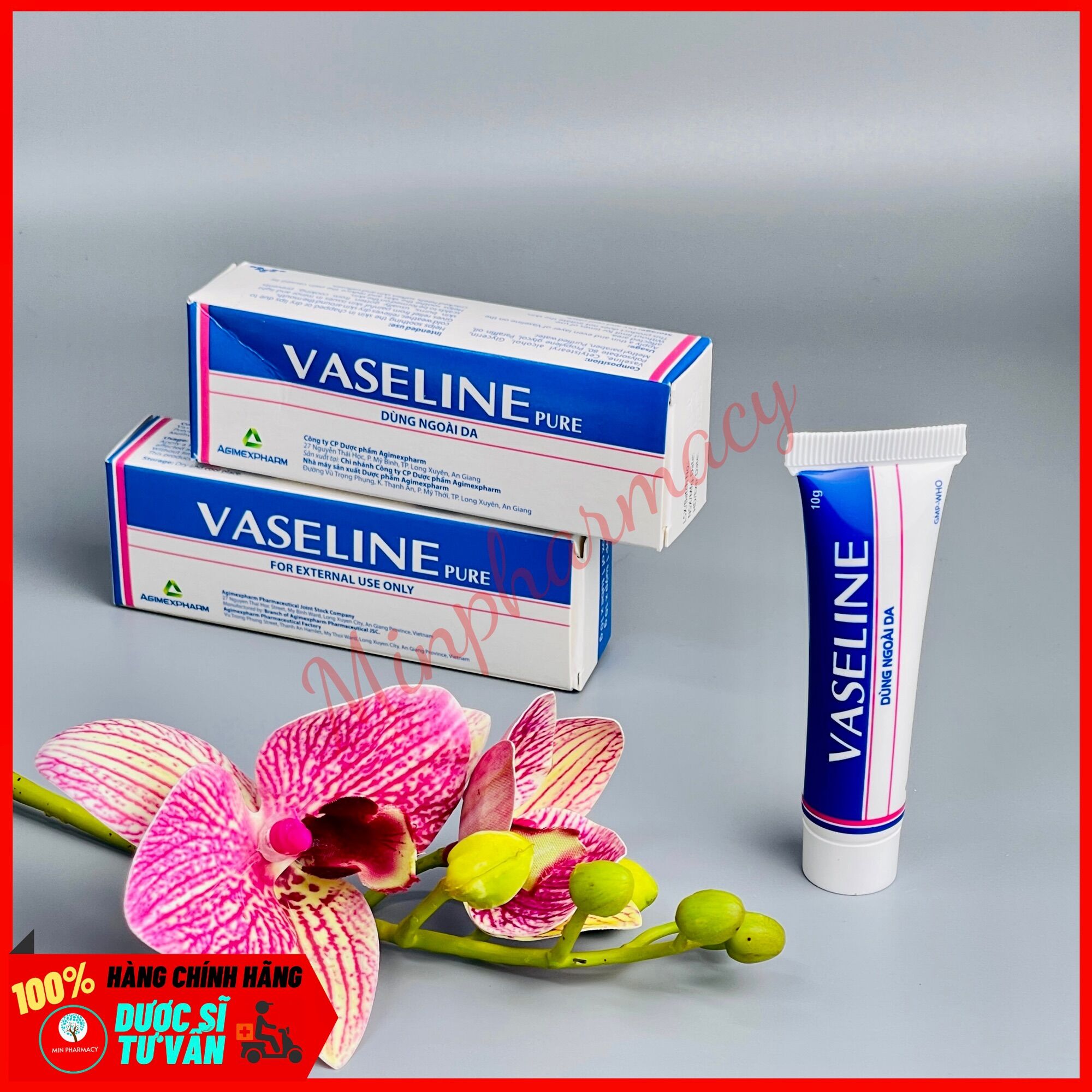 Kem dưỡng ẩm VASELINE Pure Agimexpharm (Tuýp 10g) - Minpharmacy
