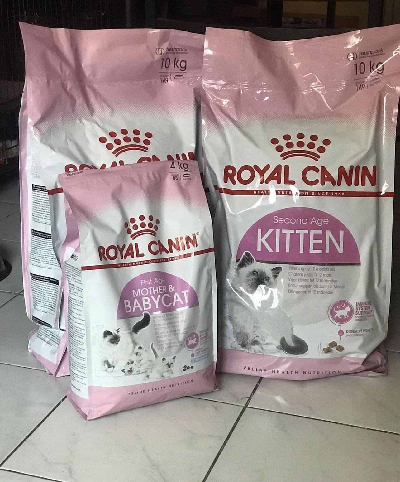 Kitten - thức ăn cho mèo con royal canin bao 10kg