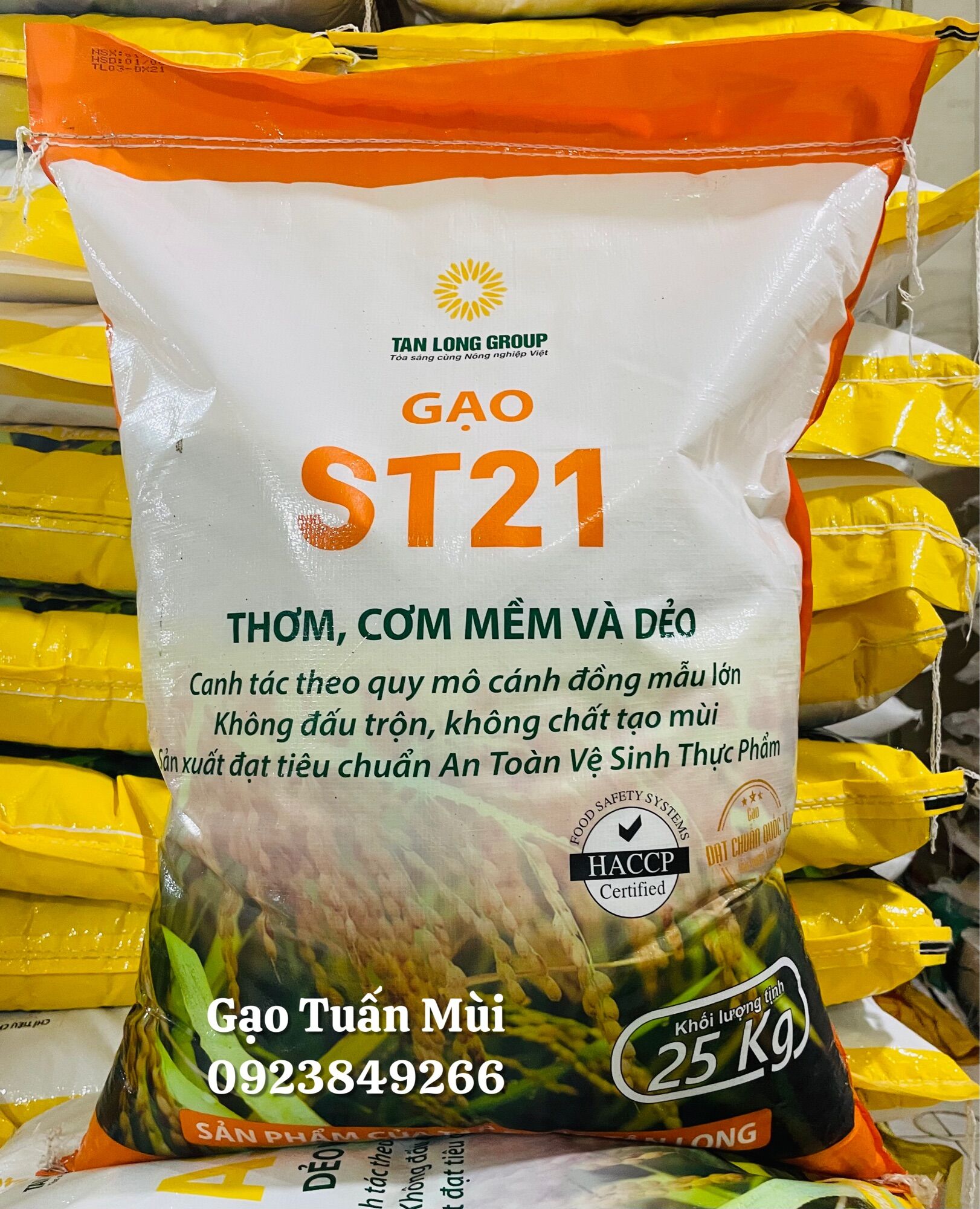 Gạo Thơm Thái (Túi 5 Ky)