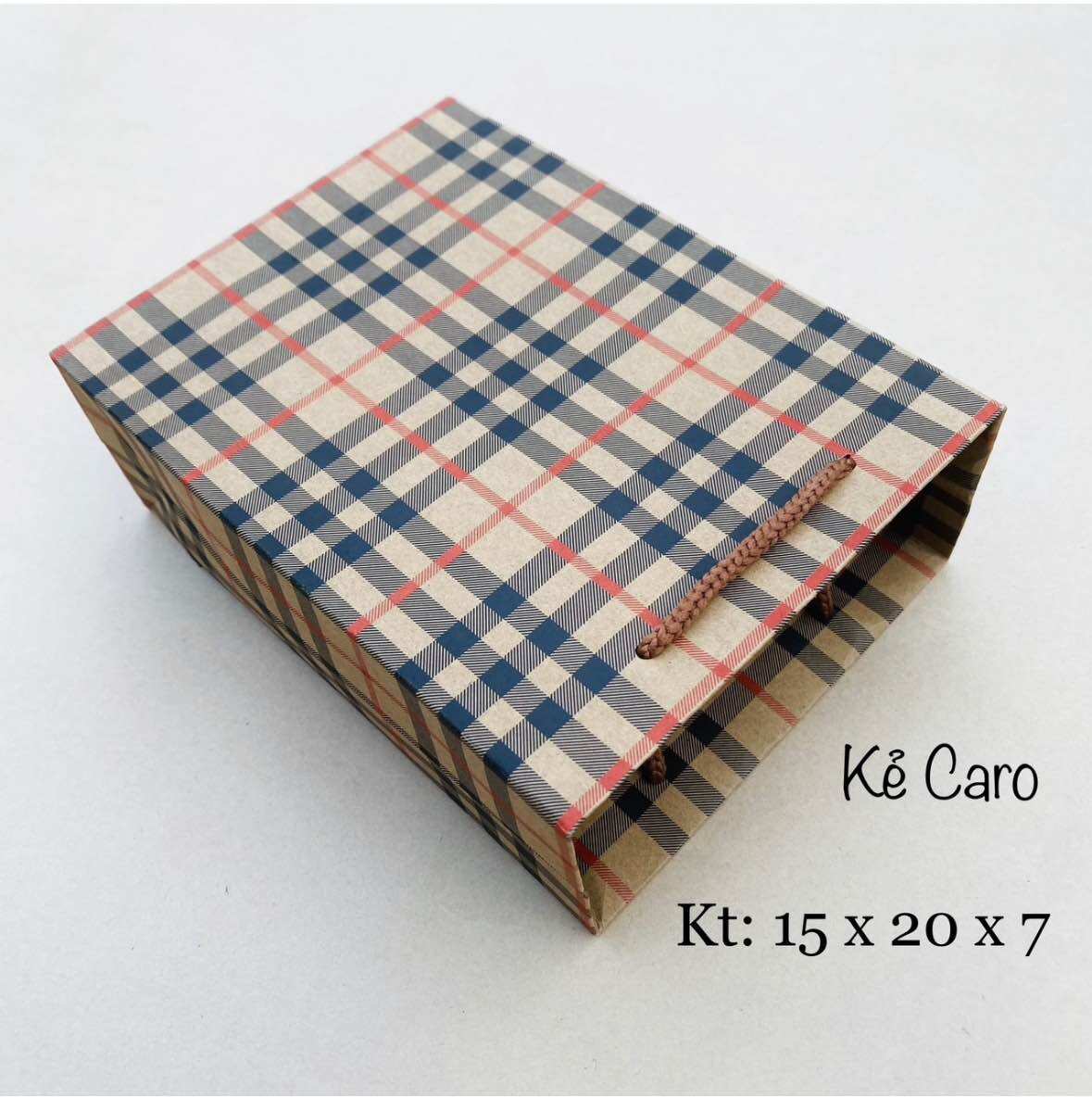 Combo 100c túi quà tặng số 6 túi giấy đựng quà [ Freeship ]