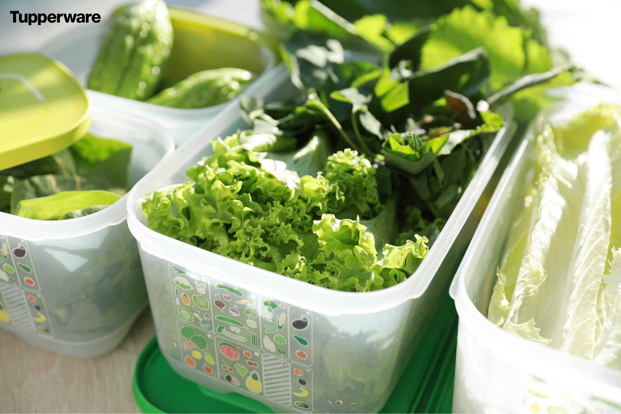 [Nhập RS0822 giảm 30k cho đơn 99k]Tupperware Ventsmart 7 hộp (Ven 7)