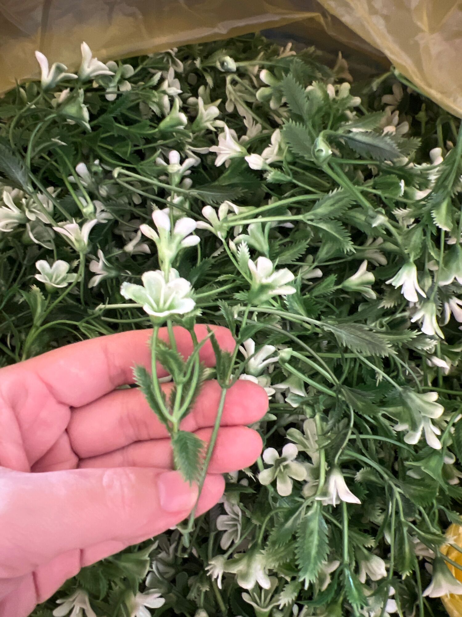 Cỏ điểm làm hoa 100g, 100g cỏ điểm