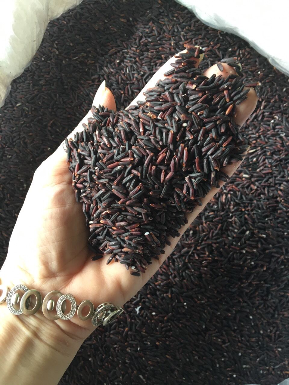 500g gạo cẩm gạo tím than