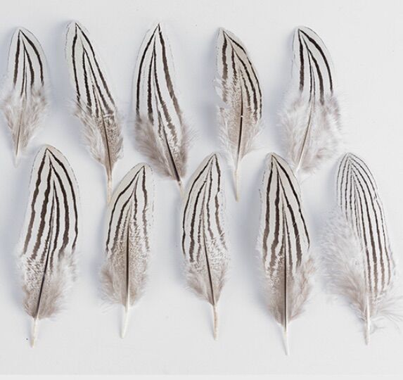 Lông vũ hoa văn tự nhiên, lông vũ làm dreamcatcher