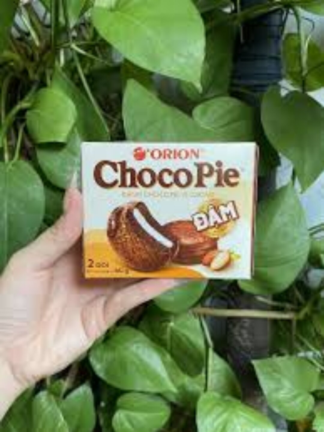 Choco Pie vị Cacao Đậm