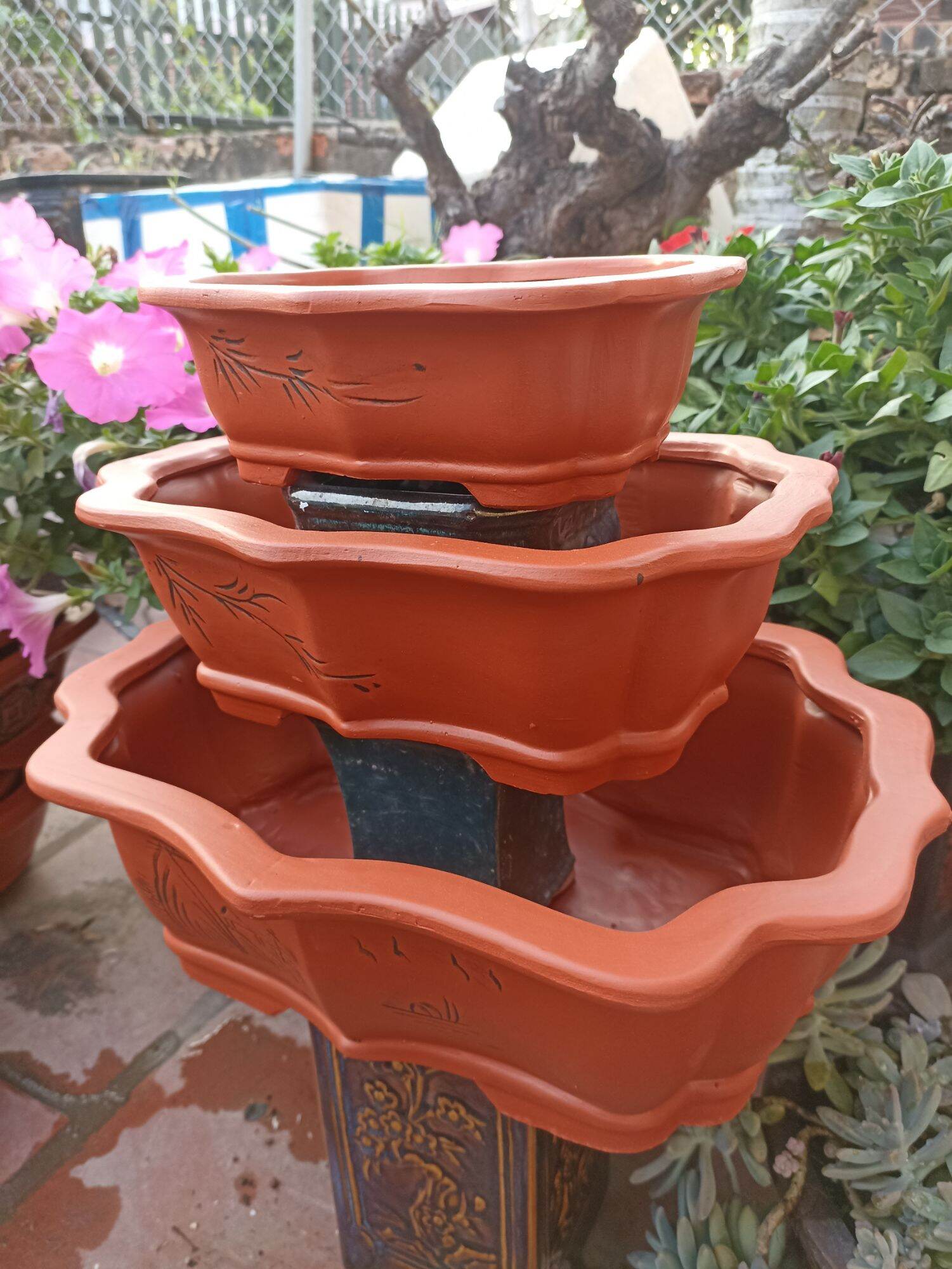 bộ 3 chậu múi cao cấp