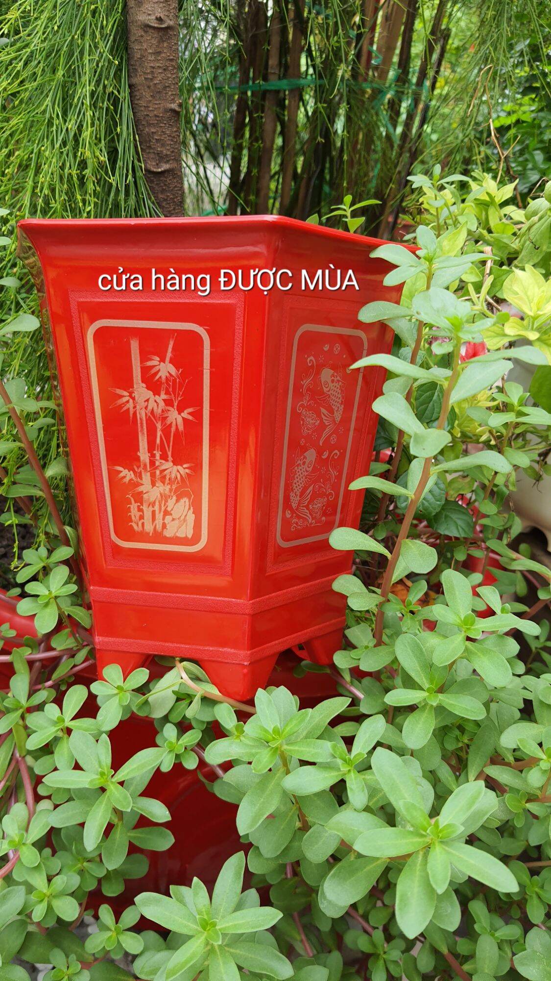 chậu lục giác in lụa chân cao size nhỏ 17x20cm