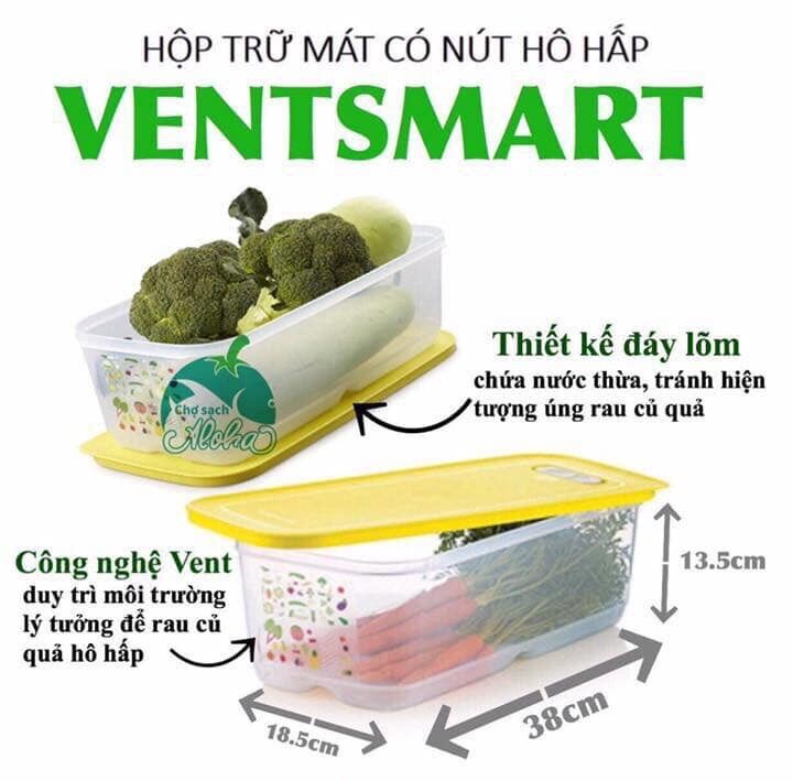 [Nhập RS0822 giảm 30k cho đơn 99k]Tupperware Ventsmart 7 hộp (Ven 7)