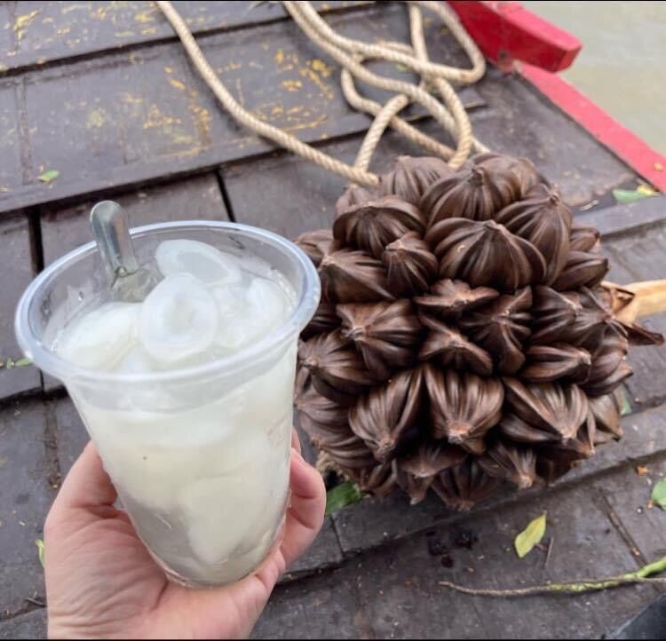 Dừa nước Bến Tre - Mềm, dẻo, thơm hương vị dừa