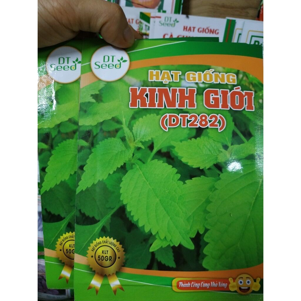 Hạt giống kinh giới