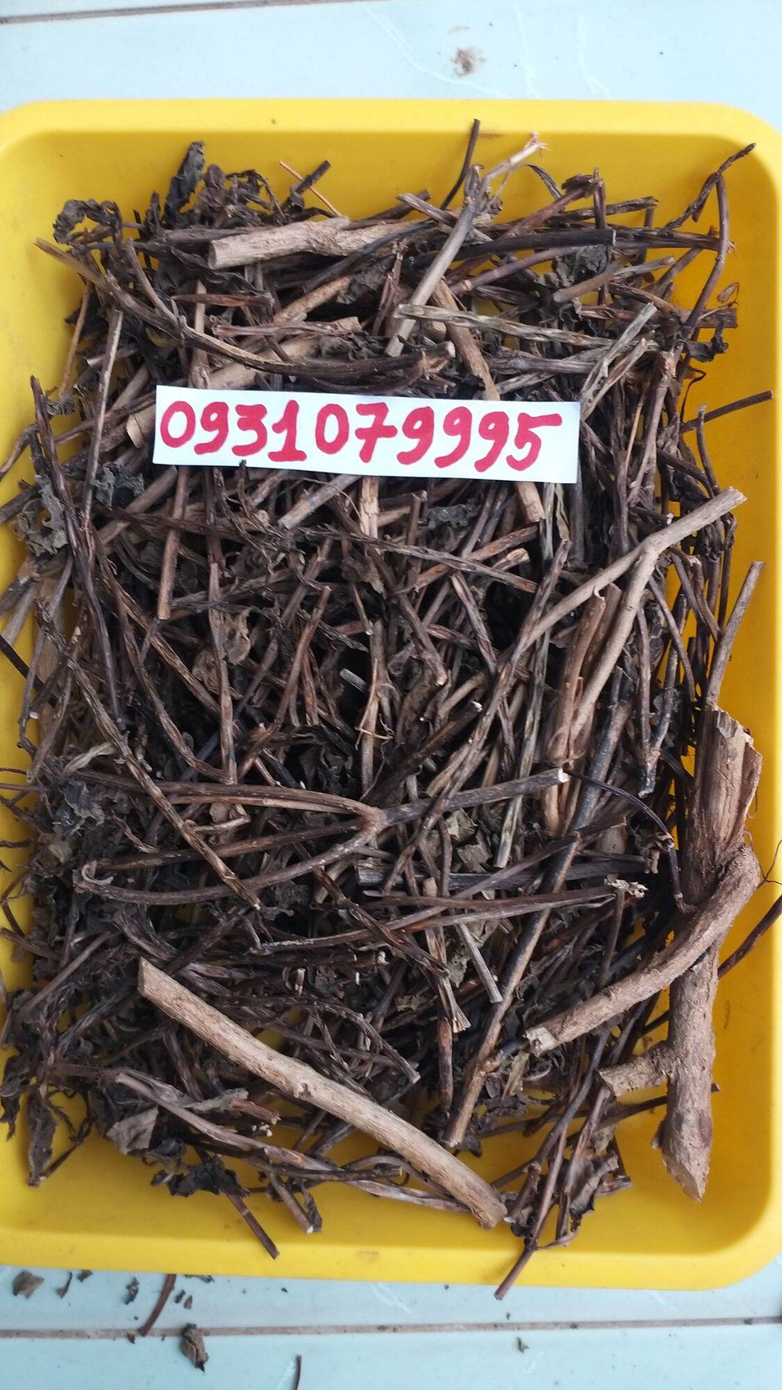 cây đuôi chuột phơi khô 1kg