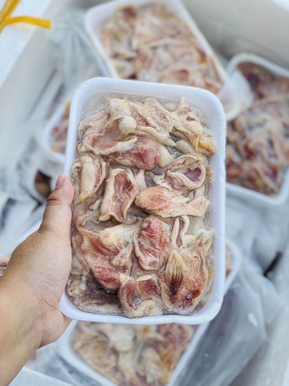 1kg bao tử cá chẽm
