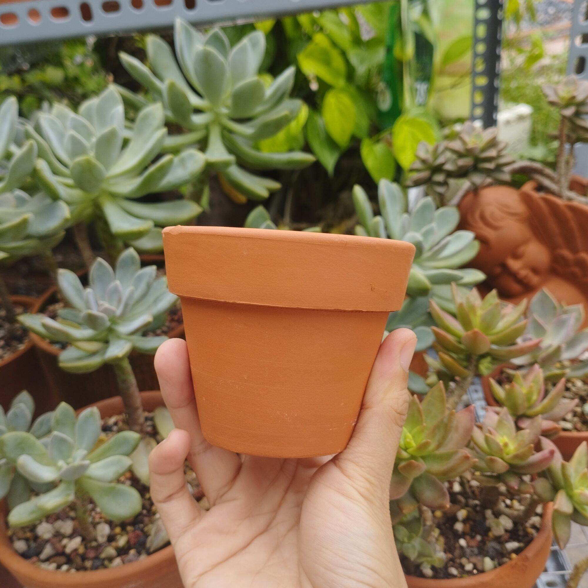 [Bao Bể Vỡ] Chậu Đất Nung Chậu Trồng Sen Đá 8x7 Cm