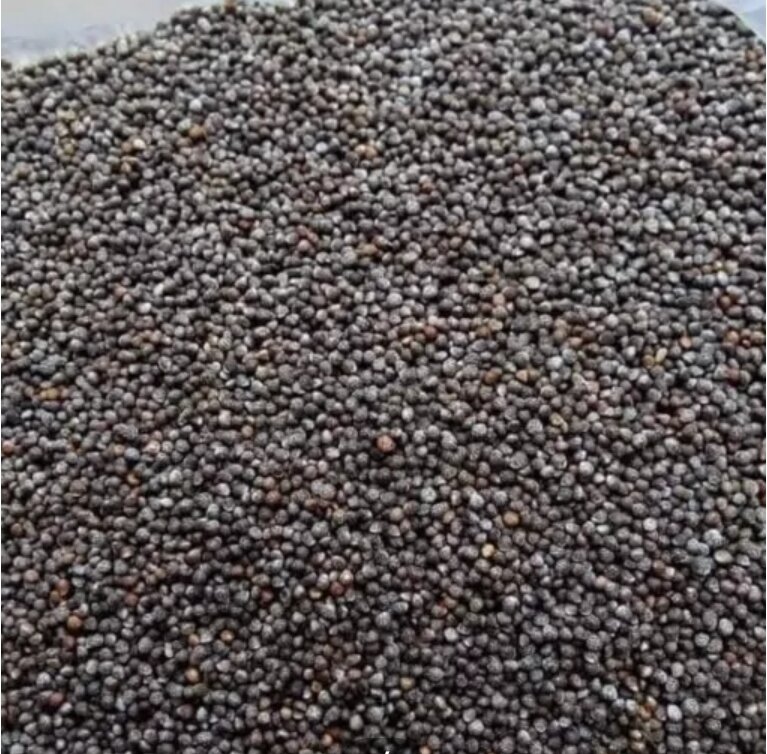 500g hạt vừng tròn