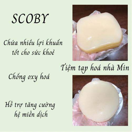 Nấm Kombucha/Thủy sâm/Thức uống tốt cho sức khỏe