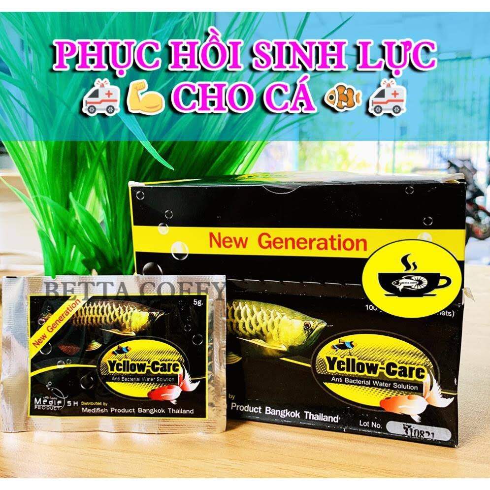 Yellow care -phòng và dưỡng sức cho cá khỏe mạnh