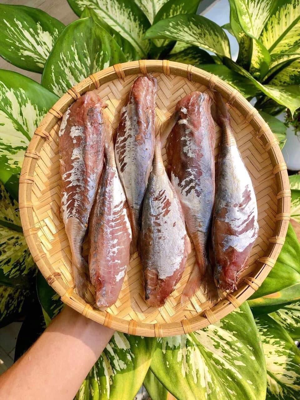 1kg CÁ NỤC 1 nắng (hoả tốc 2h tphcm)