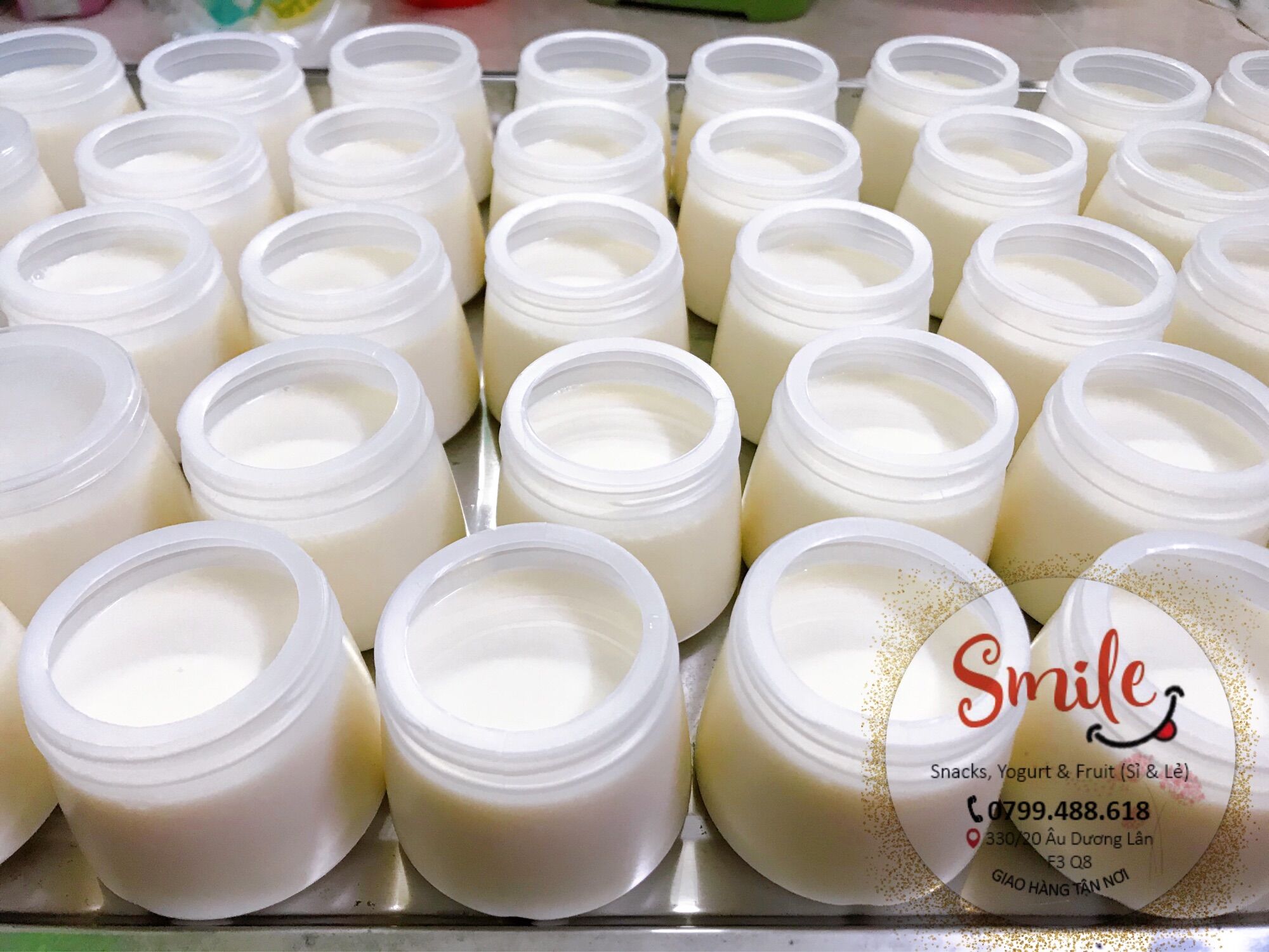 SỮA CHUA HỦ DẺO 10vị