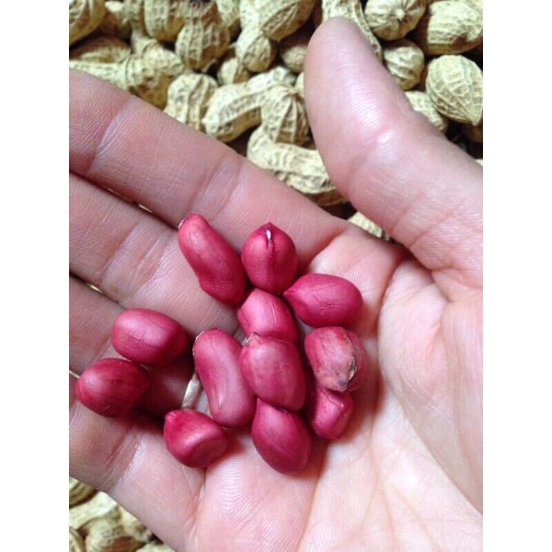 Lạc đỏ truyền thống Lạng Sơn