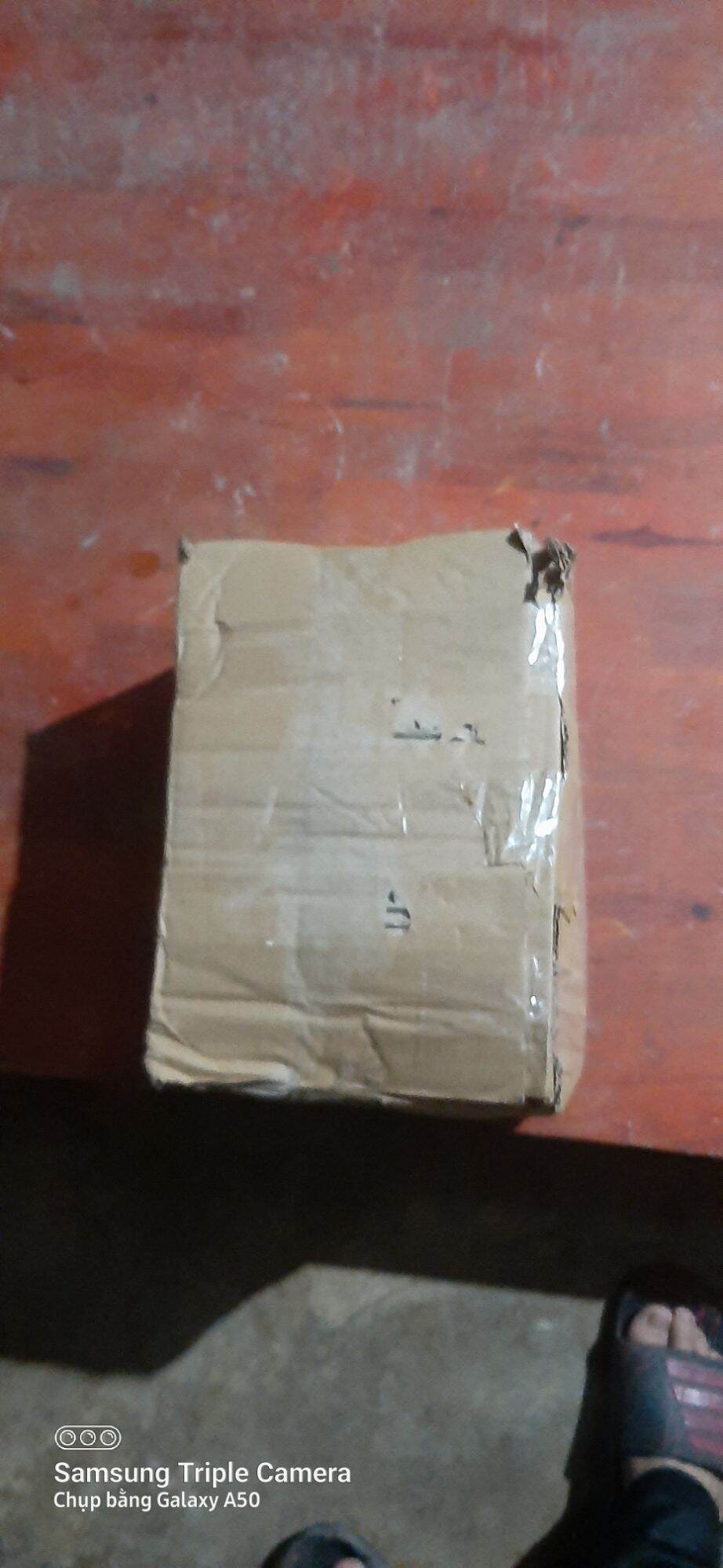 Cây cỏ hôi tươi (cây cứt lợn 1-2kg)