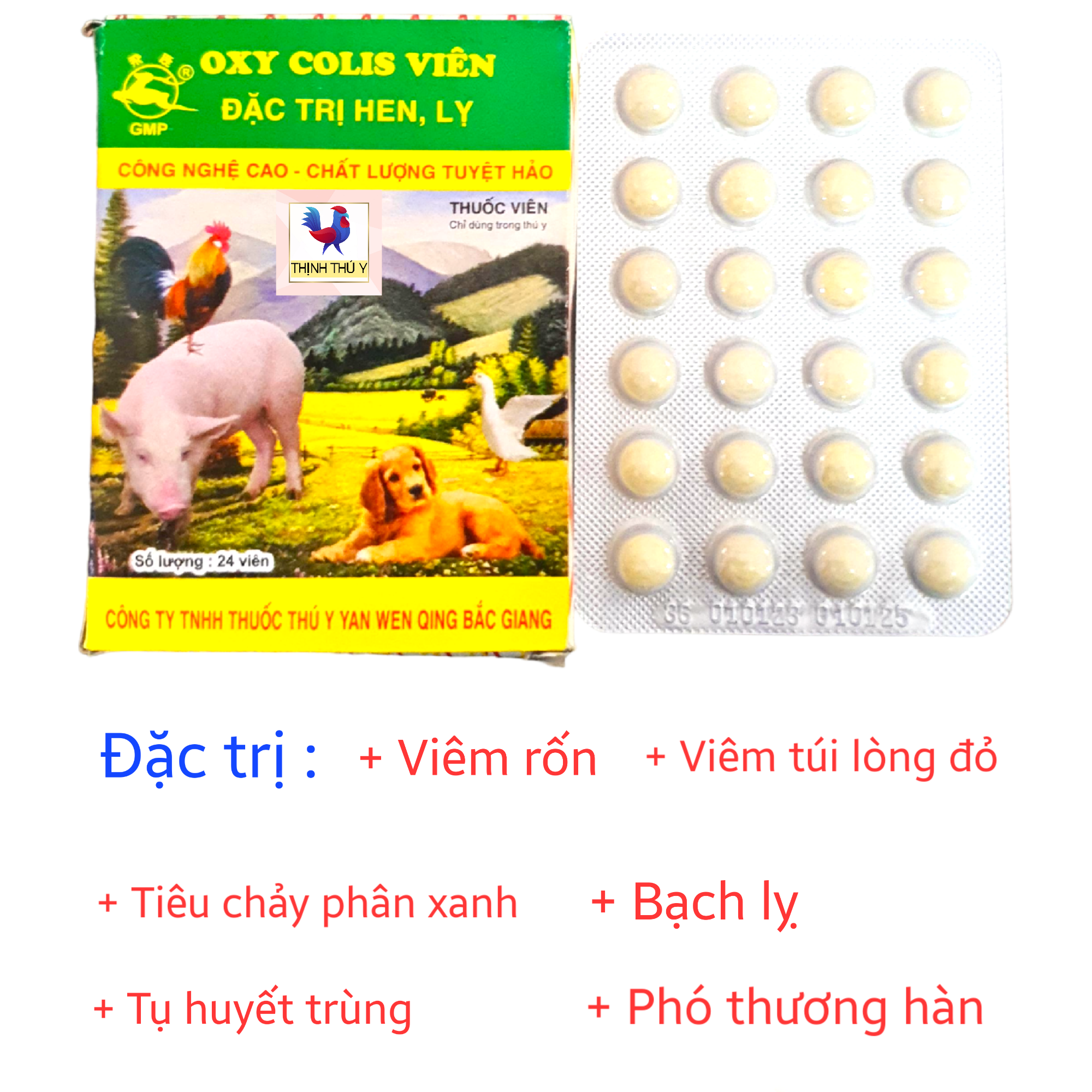 OXY COLIS (Hộp 24 viên) - Đặc tr.i viêm ruột tiêu chảy phân xanh, phân trắng cho gà đá (Sản phẩm mới của Viêm Ôn Thanh)