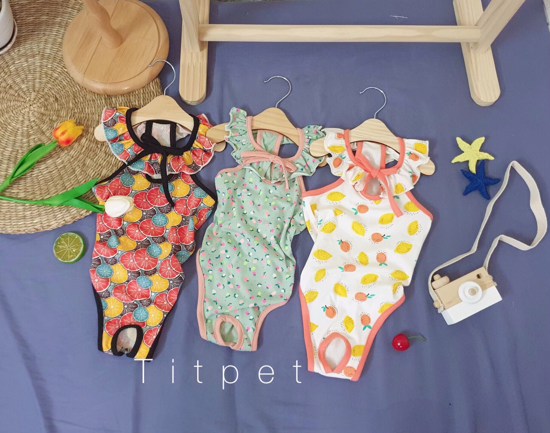 Bikini chó mèo, cổ bèo buộc nơ nhiều màu